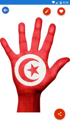 Tunisia Flag Wallpaper Flags, android App screenshot 2