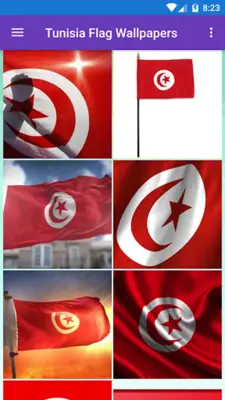 Tunisia Flag Wallpaper Flags, android App screenshot 7